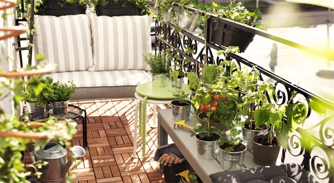 Cómo decorar tu balcón con plantas